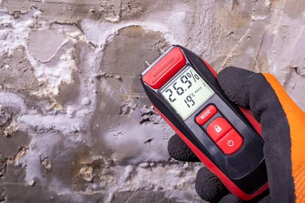 Best Best Mold Removal Companies  in Foresthill, CA