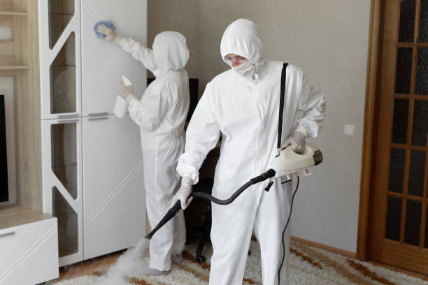 Crawl Space Mold Removal in Foresthill, CA