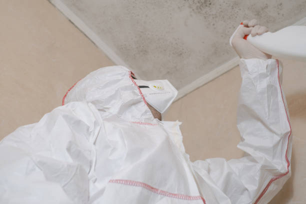 Best Best Mold Removal Companies  in Foresthill, CA