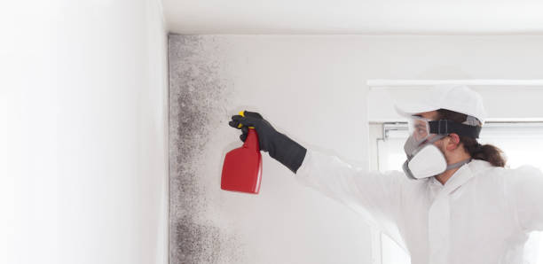 Best Residential Mold Removal  in Foresthill, CA