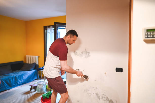 Best Mold Removal Near Me  in Foresthill, CA